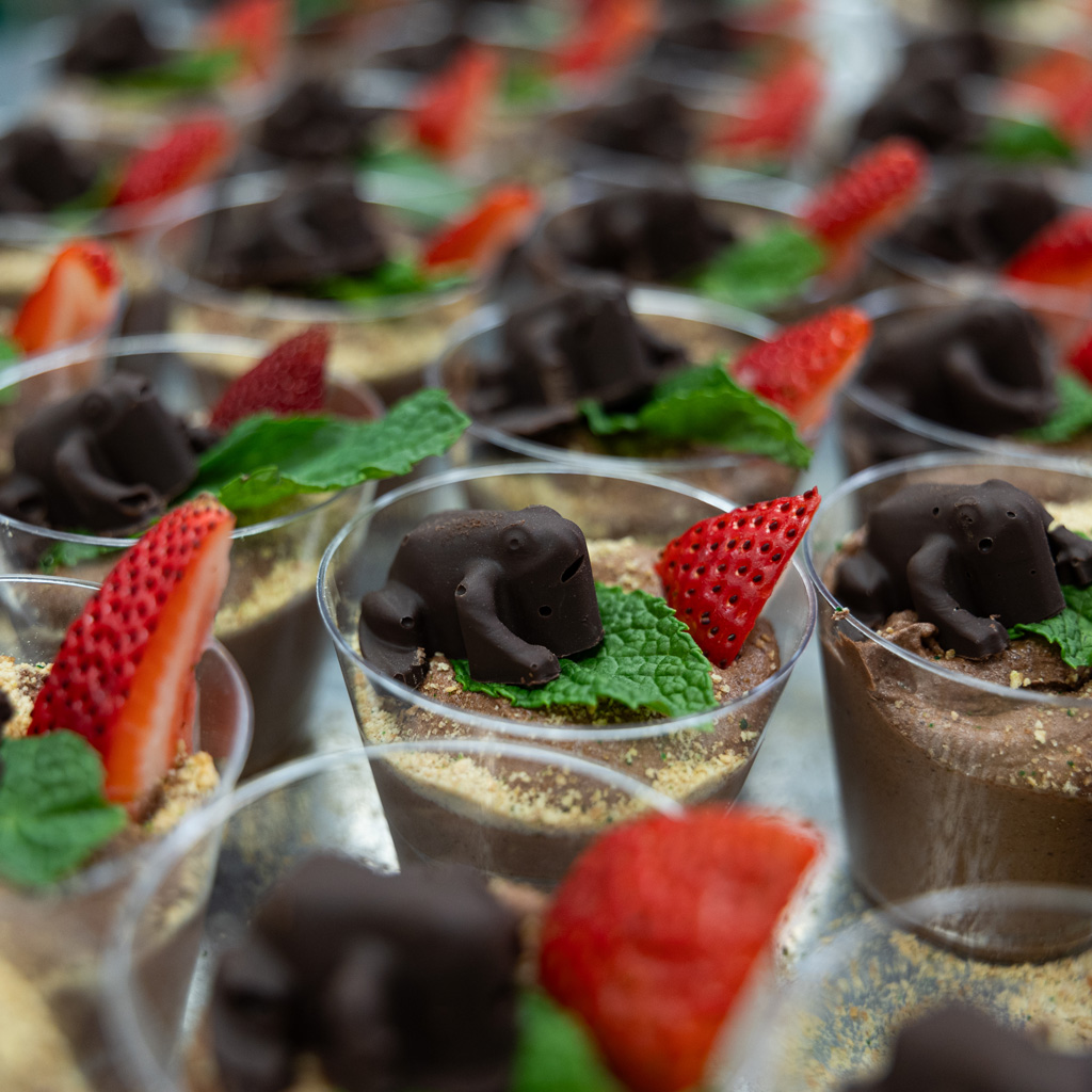 Marsh's Edge | Dining | A Night in Hogwarts | Chocolate Frogs